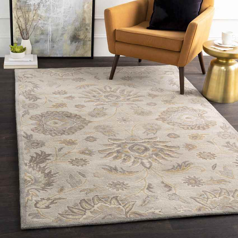 Eckville Traditional Light Gray Area Rug