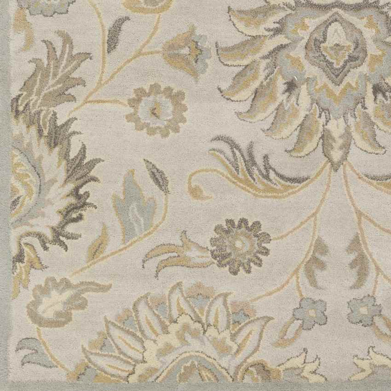 Eckville Traditional Light Gray Area Rug