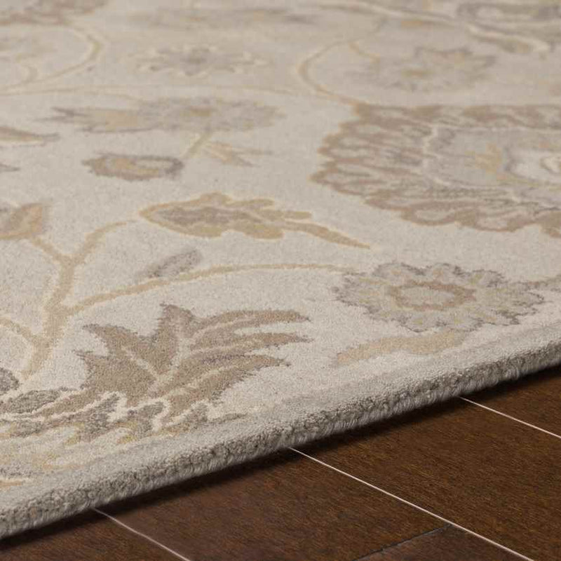 Eckville Traditional Light Gray Area Rug