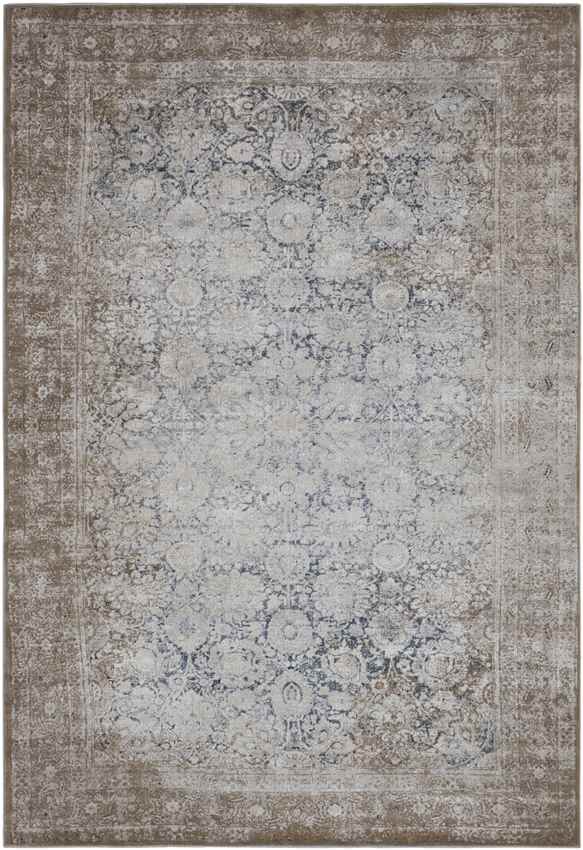 Brigus Traditional Beige Area Rug