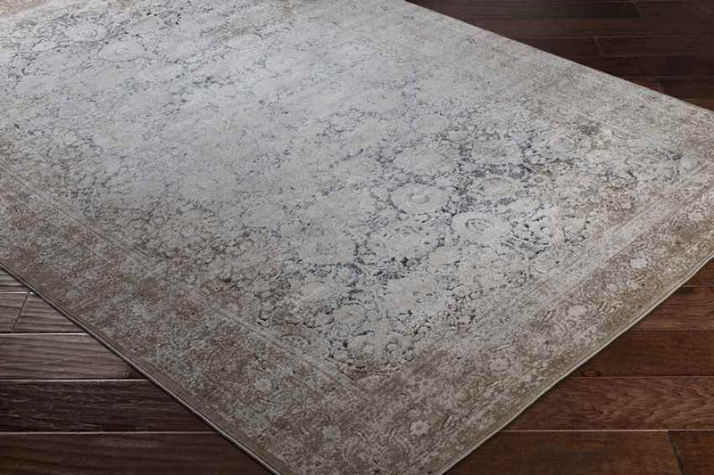 Brigus Traditional Beige Area Rug