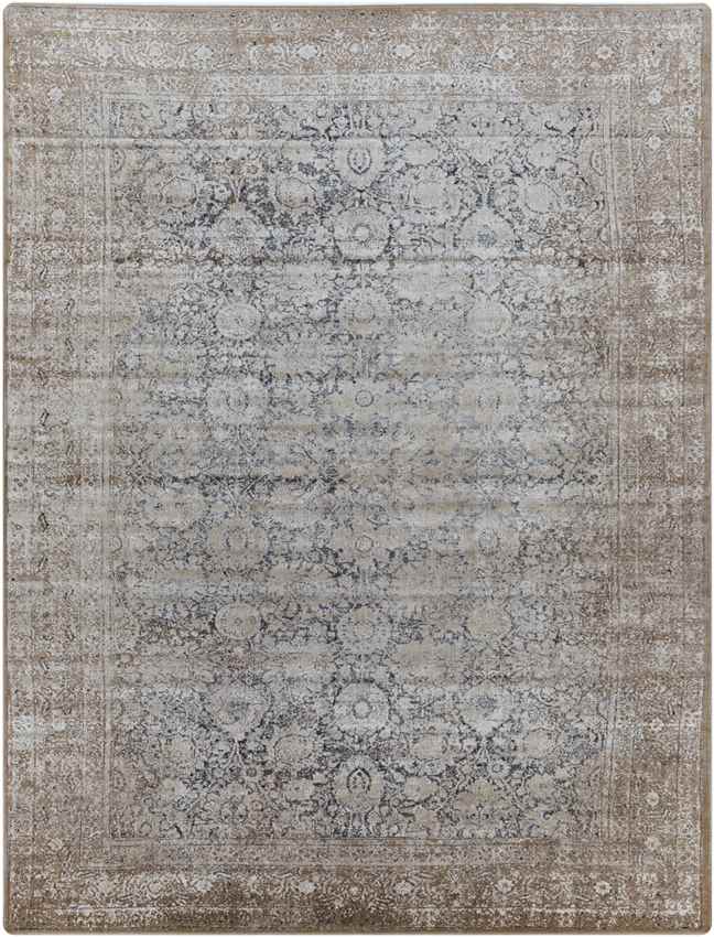 Brigus Traditional Beige Area Rug