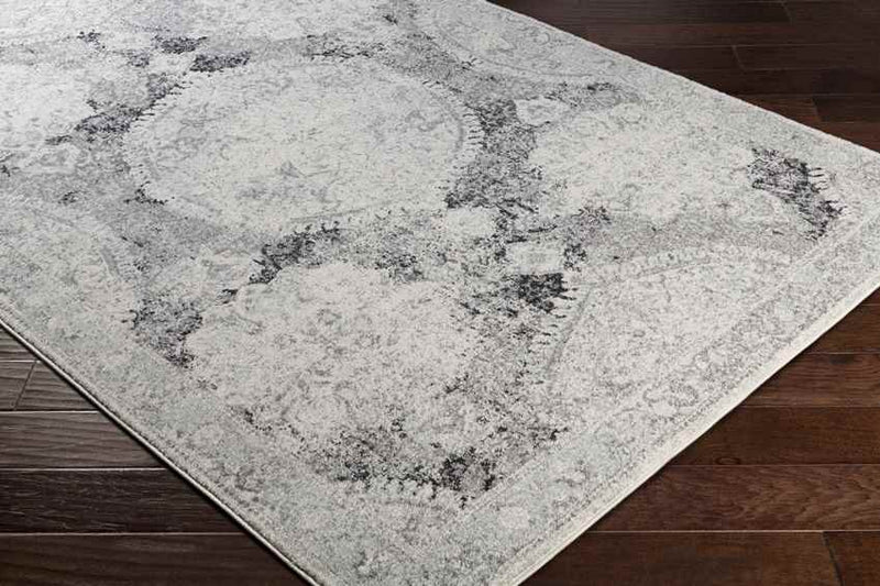 Placentia Traditional Light Gray Area Rug