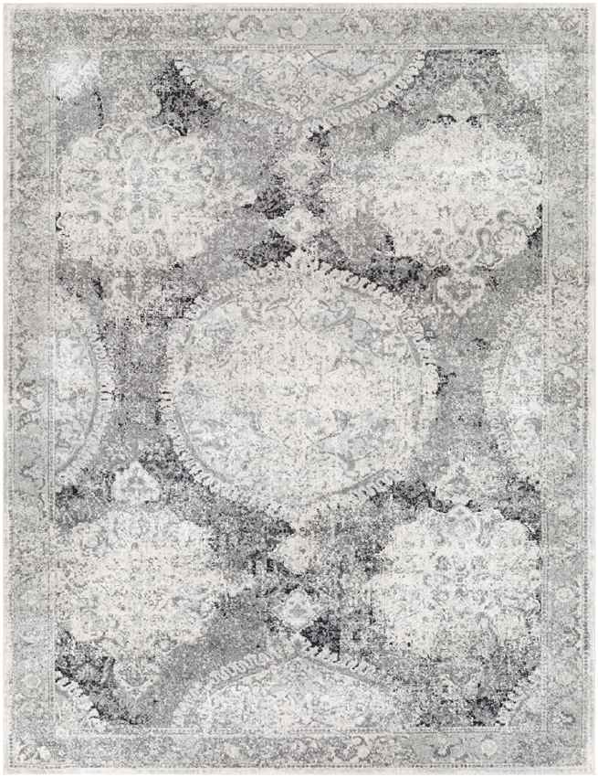 Placentia Traditional Light Gray Area Rug