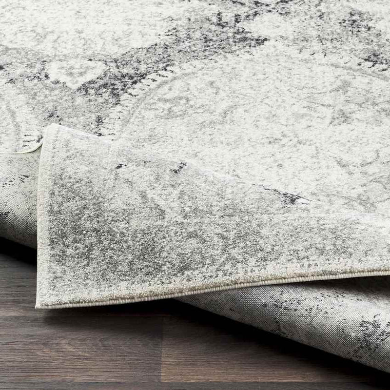 Placentia Traditional Light Gray Area Rug