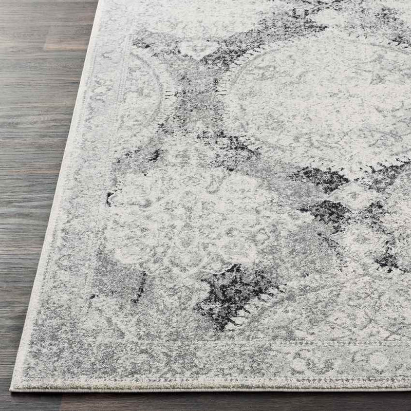 Placentia Traditional Light Gray Area Rug