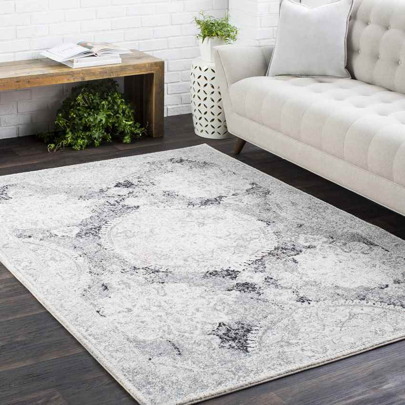 Placentia Traditional Light Gray Area Rug