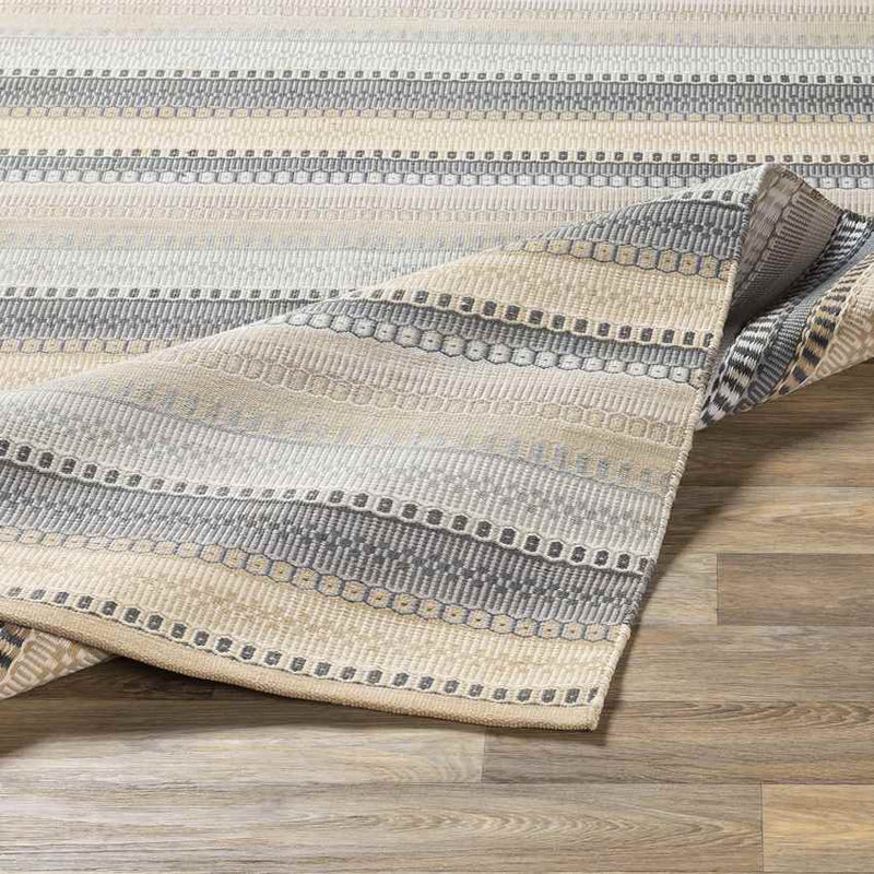 Falmouth Modern Light Gray Area Rug