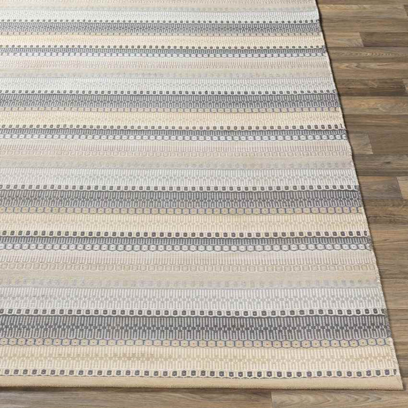 Falmouth Modern Light Gray Area Rug