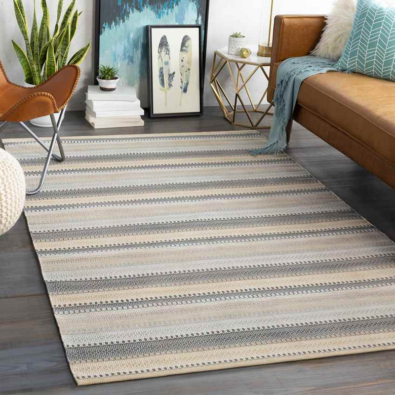 Falmouth Modern Light Gray Area Rug