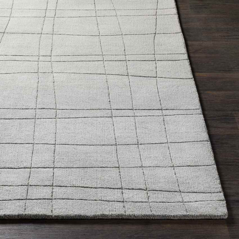 Digby Modern Light Gray Area Rug