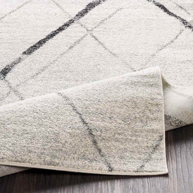 Caledon Modern Light Gray Area Rug