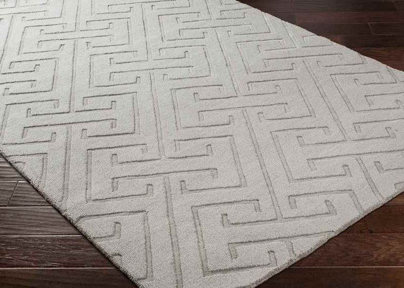 Kearney Modern Light Gray Area Rug