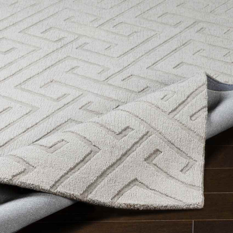 Kearney Modern Light Gray Area Rug