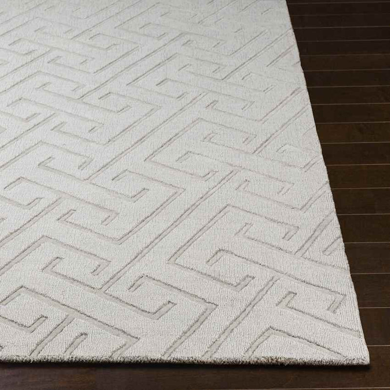 Kearney Modern Light Gray Area Rug