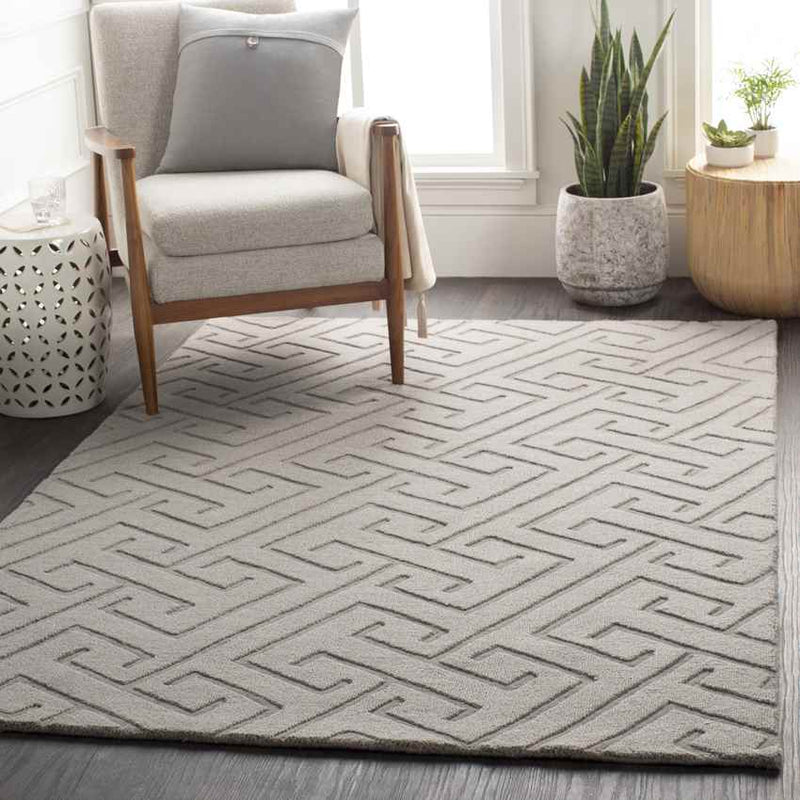 Kearney Modern Light Gray Area Rug