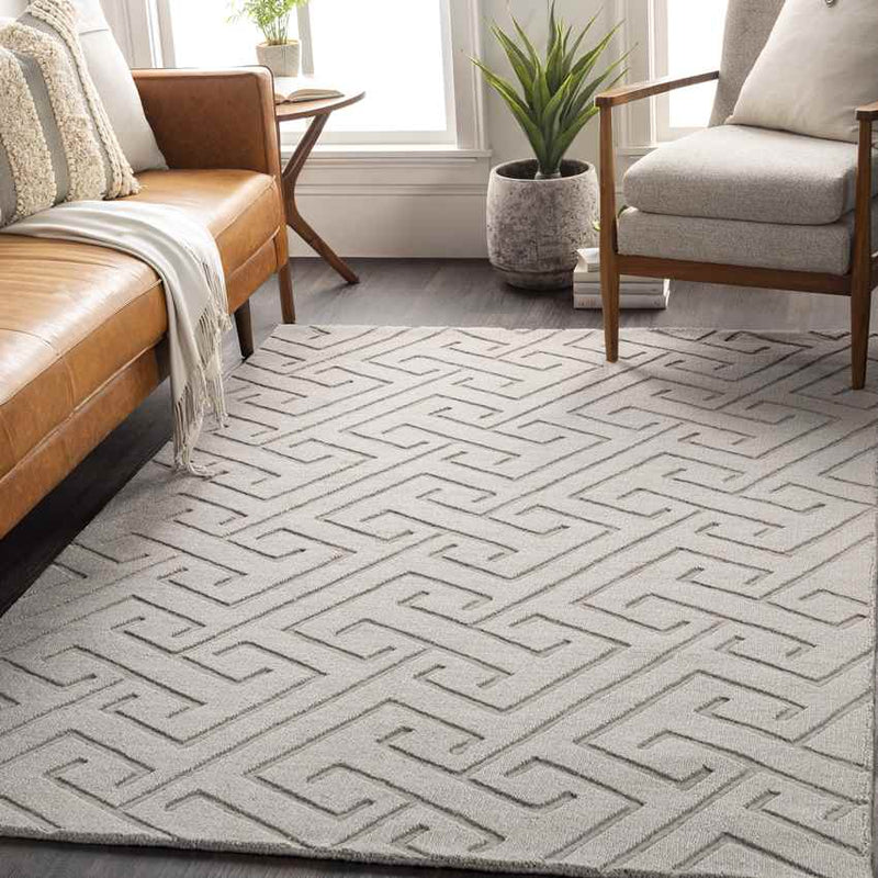 Kearney Modern Light Gray Area Rug