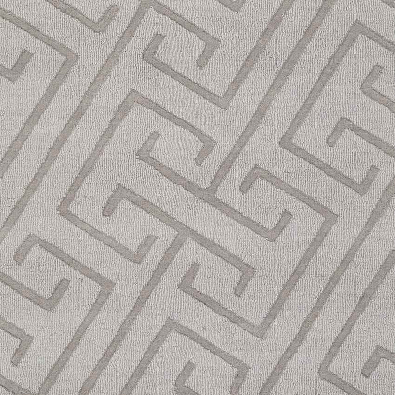 Kearney Modern Light Gray Area Rug