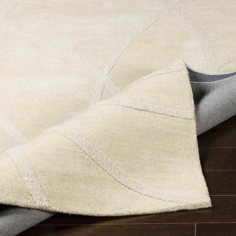 LaSalle Modern Khaki Area Rug