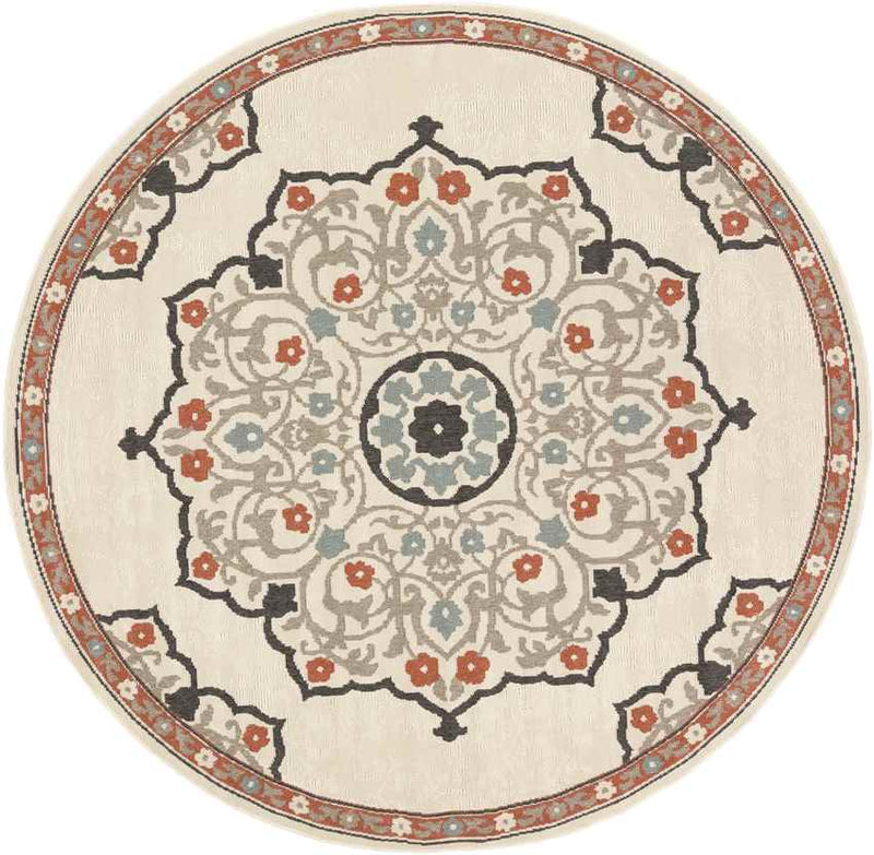 Balcarres Traditional Burnt Orange Area Rug