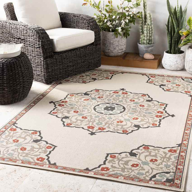 Balcarres Traditional Burnt Orange Area Rug