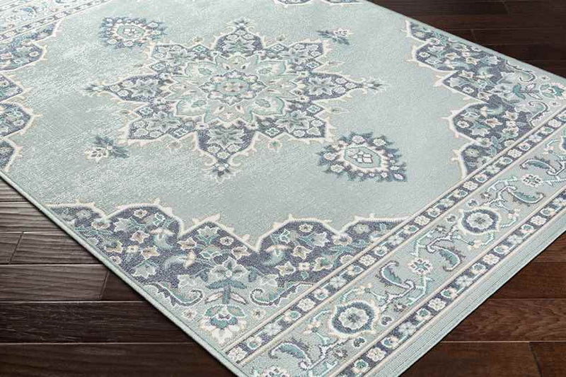 Lyla Traditional Aqua Area Rug