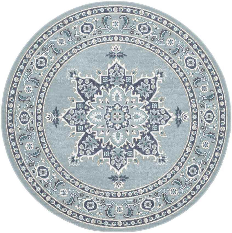 Lyla Traditional Aqua Area Rug