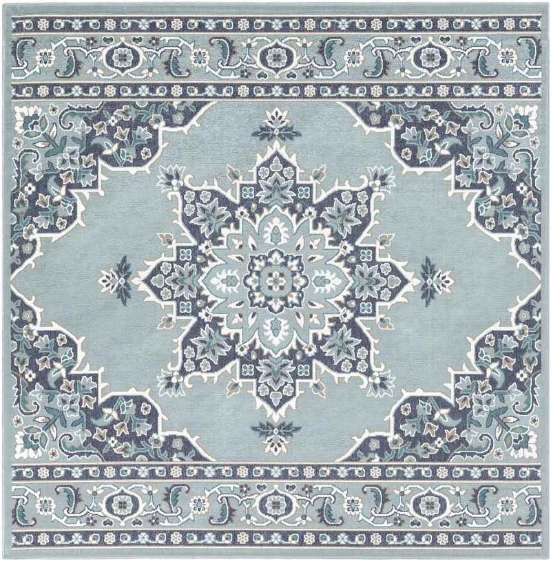 Lyla Traditional Aqua Area Rug