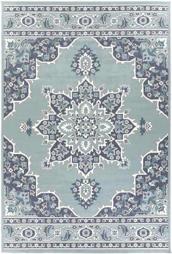 Lyla Traditional Aqua Area Rug