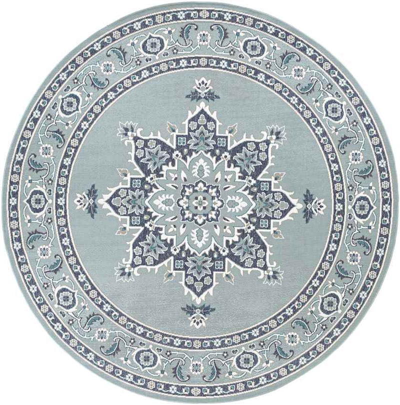 Lyla Traditional Aqua Area Rug