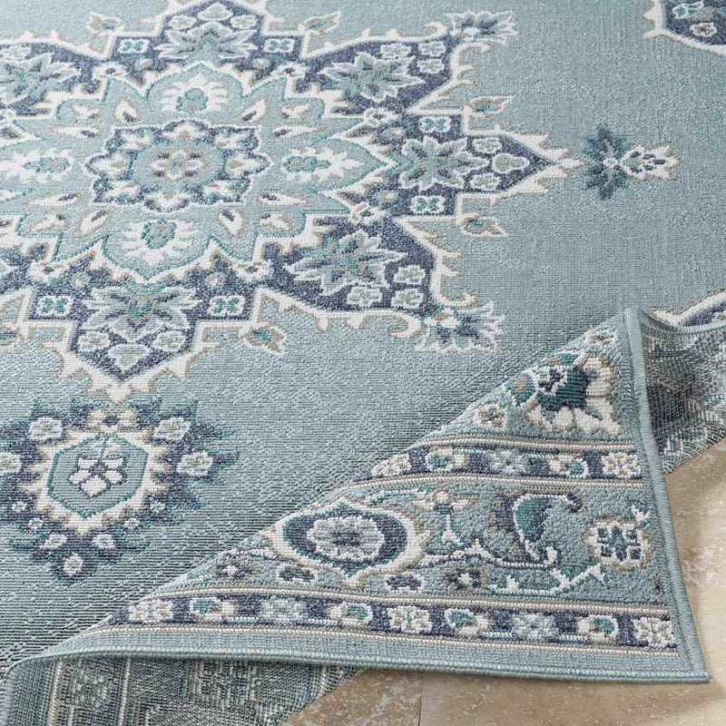 Lyla Traditional Aqua Area Rug