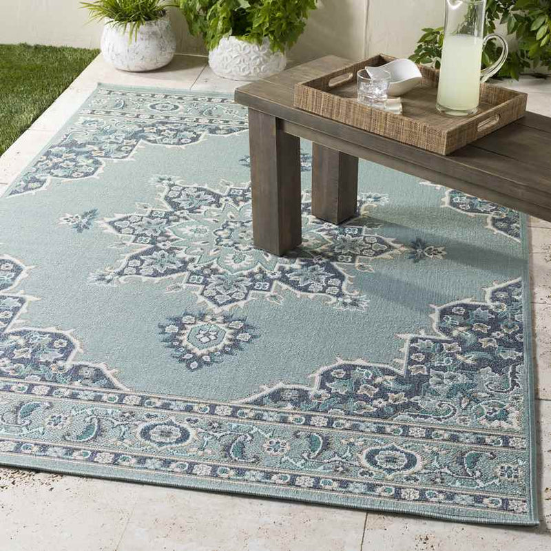 Lyla Traditional Aqua Area Rug