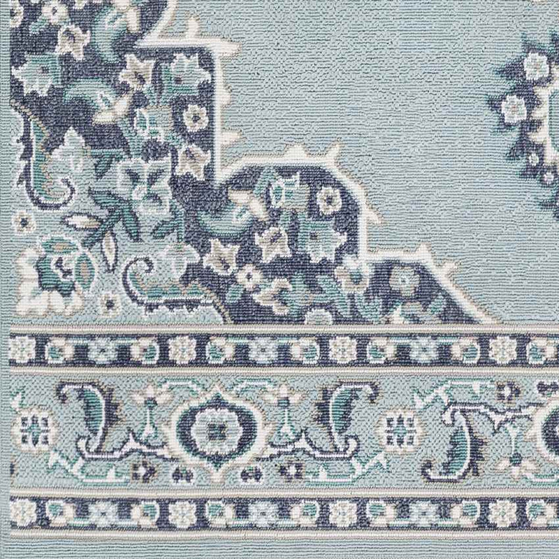 Lyla Traditional Aqua Area Rug