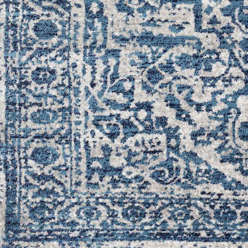 Emma Traditional Sky Blue Area Rug