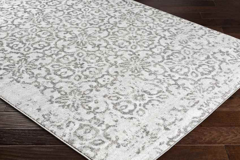 Dalmeny Traditional Light Gray Area Rug