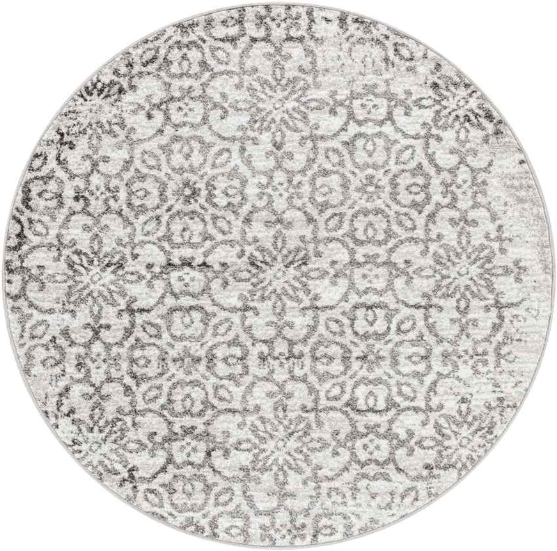 Dalmeny Traditional Light Gray Area Rug