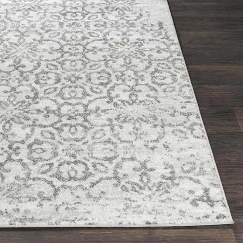 Dalmeny Traditional Light Gray Area Rug