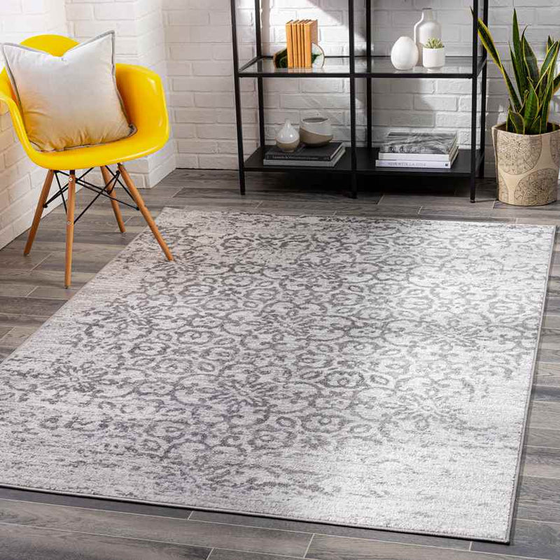 Dalmeny Traditional Light Gray Area Rug