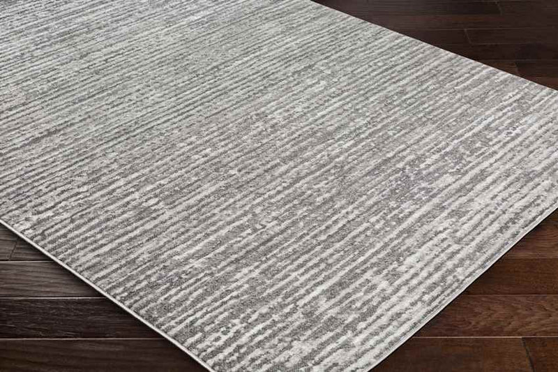 Delisle Modern Light Gray Area Rug