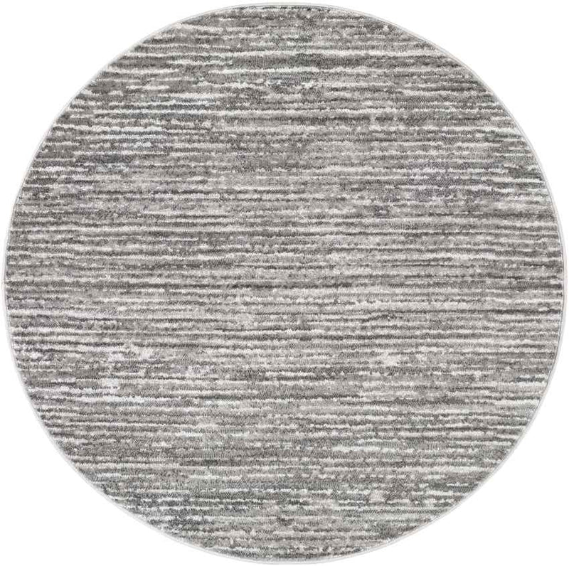 Delisle Modern Light Gray Area Rug