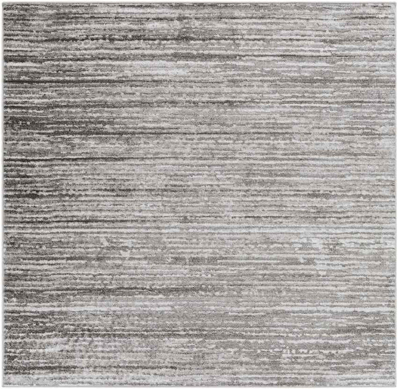 Delisle Modern Light Gray Area Rug