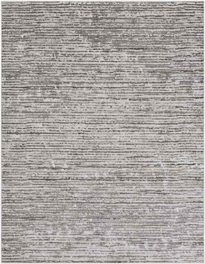 Delisle Modern Light Gray Area Rug