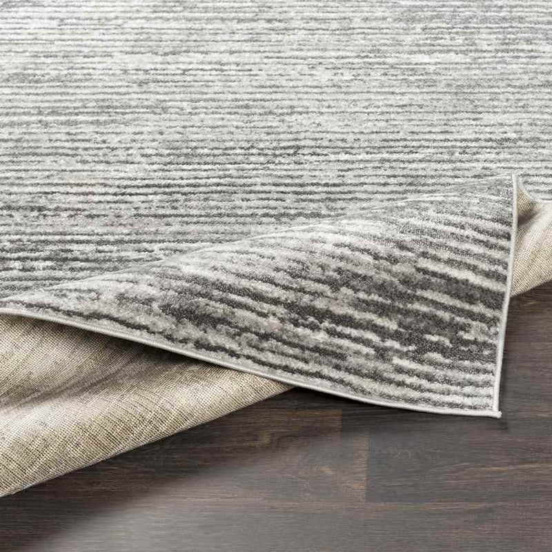 Delisle Modern Light Gray Area Rug