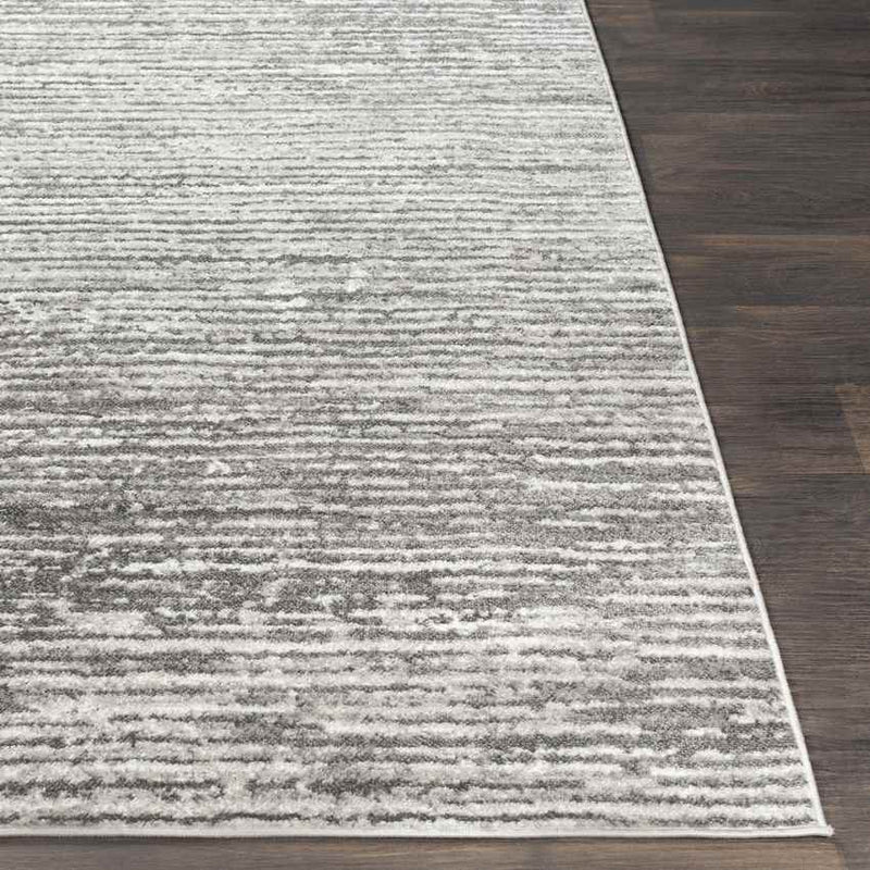 Delisle Modern Light Gray Area Rug