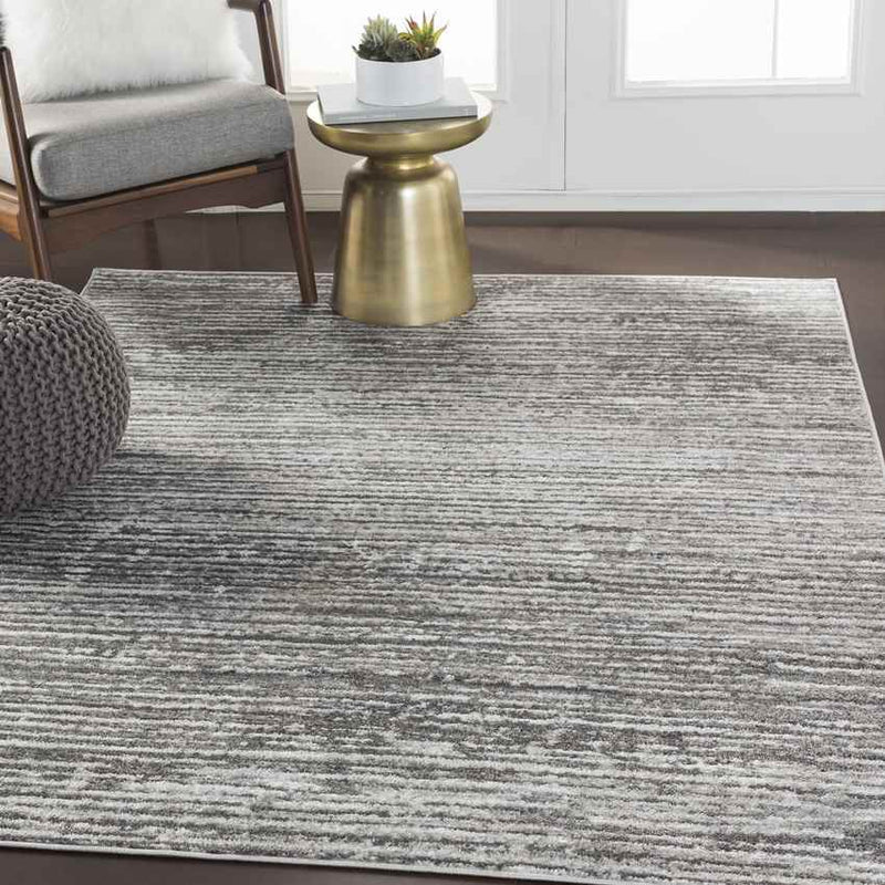 Delisle Modern Light Gray Area Rug