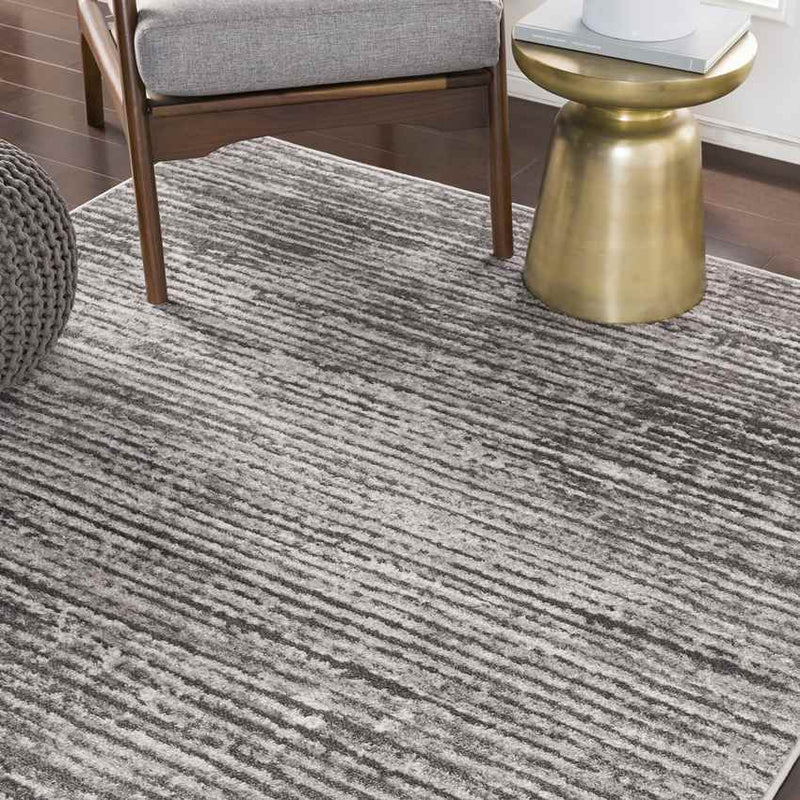 Delisle Modern Light Gray Area Rug