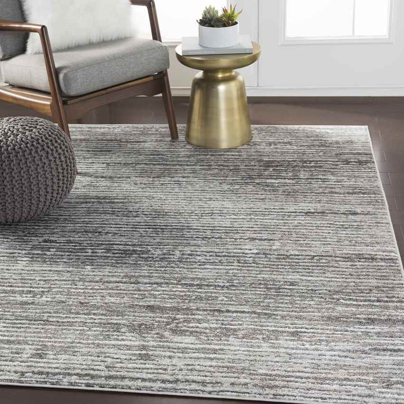 Delisle Modern Light Gray Area Rug