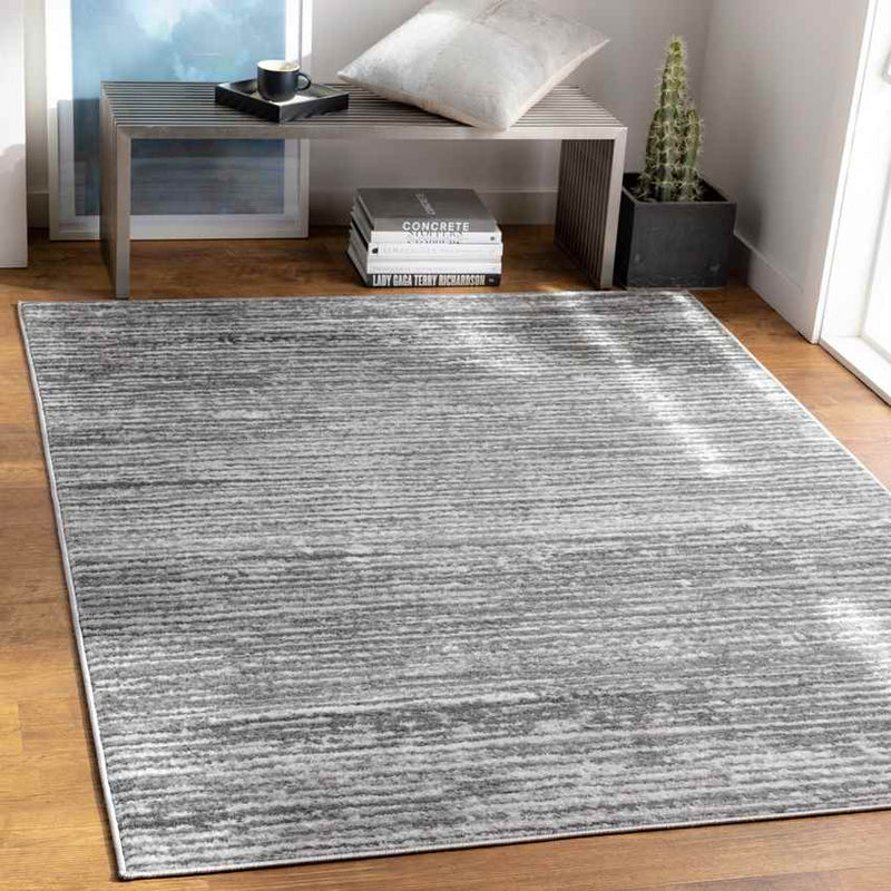 Delisle Modern Light Gray Area Rug