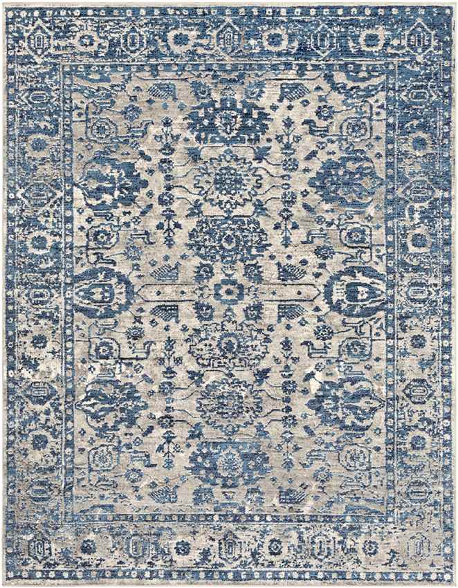 Kedrick Traditional Light Gray Area Rug