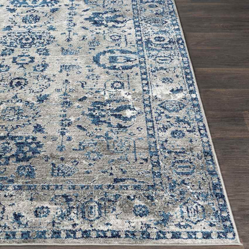 Kedrick Traditional Light Gray Area Rug